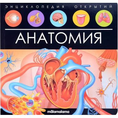 Анатомия