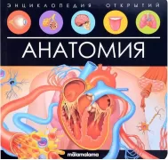 Анатомия