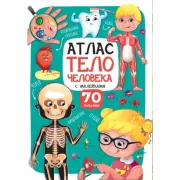 Тело человека