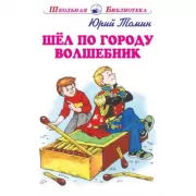 Шел по городу волшебник