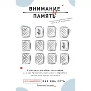 Внимание и память, и почему они работали лучше, пока ты все не испортил