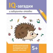 IQ-загадки и лабиринты-отгадки