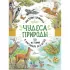Чудеса природы. 50 историй в картинках для детей