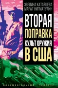 Вторая поправка. Культ оружия в США