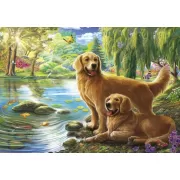 Красота волков