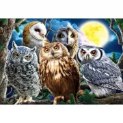 Красота волков