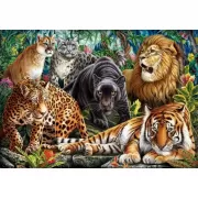 Красота волков