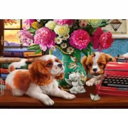 Красота волков