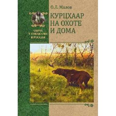 Курцхаар на охоте и дома