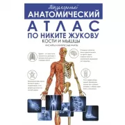 Популярный анатомический атлас по Никите Жукову. Кости и мышцы. Инсайты и интересные факты