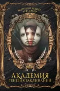 Академия теневых заклинаний