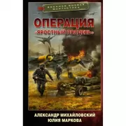 Операция «Яростный полдень»