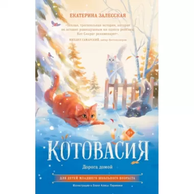 Котовасия. Дорога домой