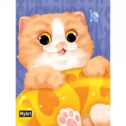 Рыжий котик