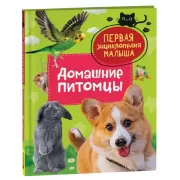 Домашние питомцы