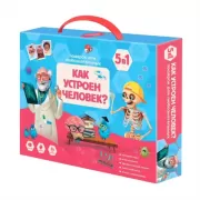 Как устроен человек?