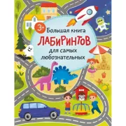 Большая книга лабиринтов для самых любознательных