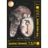 The Wild Dark Tarot