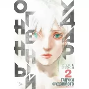Огненный удар. Книга 2