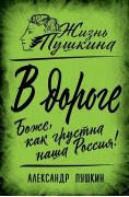 В дороге. Боже, как грустна наша Россия!