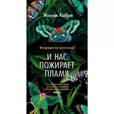 И нас пожирает пламя