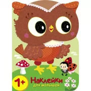 Совы. Кто в лесу самый красивый?