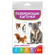 Дикие животные