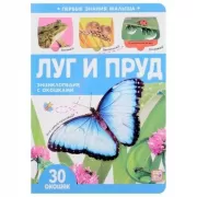 Луг и пруд