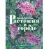 Растения в городе