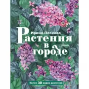 Растения в городе