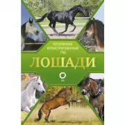 Лошади