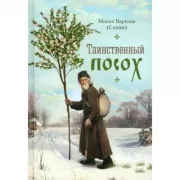 Таинственный посох