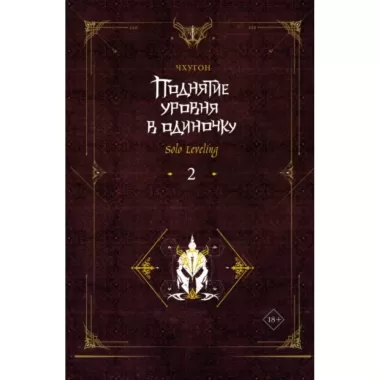 Поднятие уровня в одиночку. Книга 2