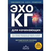 Эхокардиография для начинающих. Суть гемодинамических нарушений, позиции для анализа, определение тяжести порока