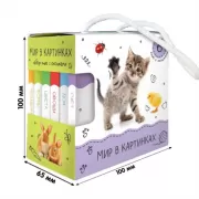 Мир в картинках