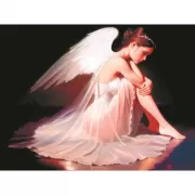 Красота волков