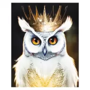 Красота волков