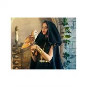 Набор шашек