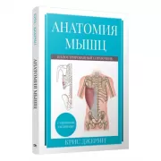 Анатомия мышц. Иллюстрированный справочник