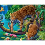 Красота волков