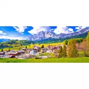 Красота волков