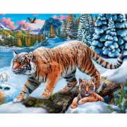 Красота волков