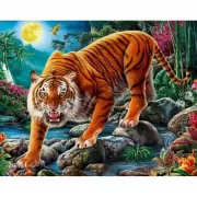 Красота волков