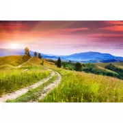 Красота волков