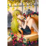 Набор шашек