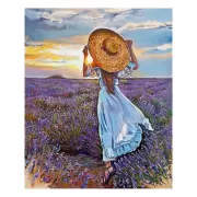 Набор шашек