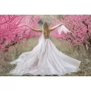 Набор шашек