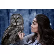 Набор шашек