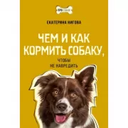 Чем и как кормить собаку, чтобы не навредить