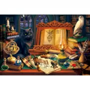 Набор шашек